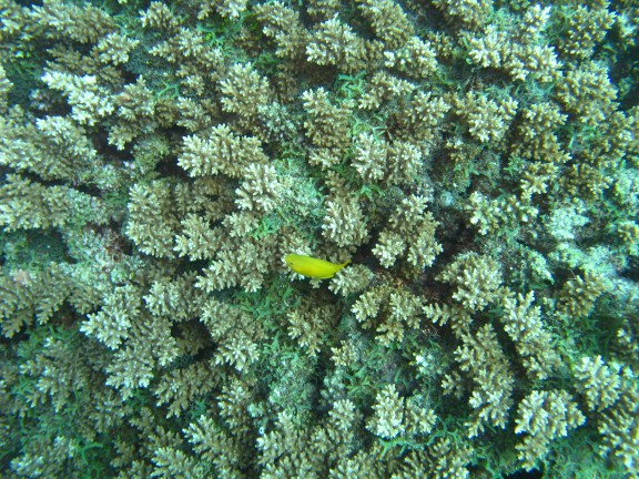 Queensland, Australia