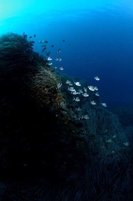 Formentera, Espagne