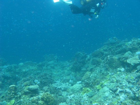 Queensland, Australia