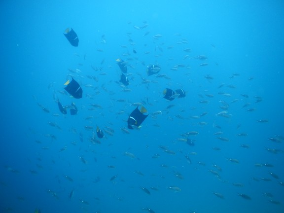 Guaymas, Mexico