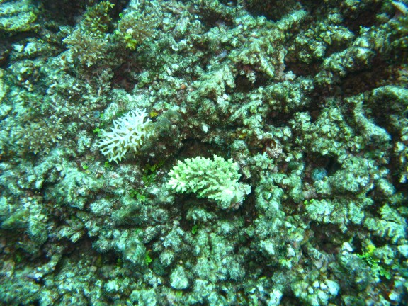 Queensland, Australia