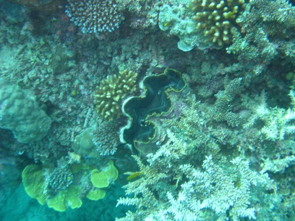 Queensland, Australia