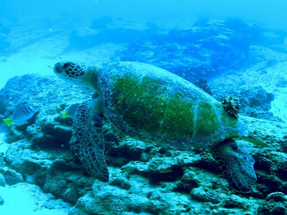 Baja California Sur, México