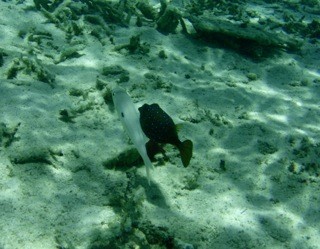 Belle Mare, Maurice