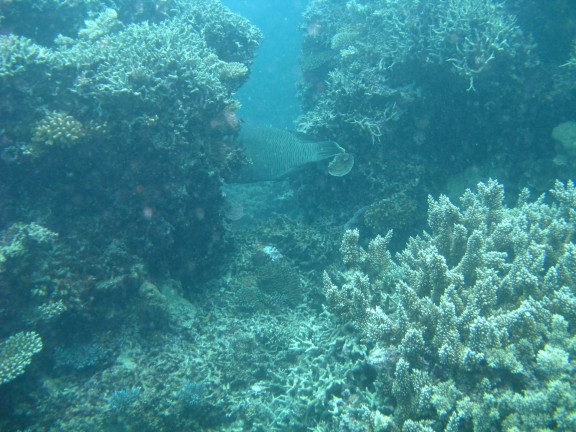 Queensland, Australia
