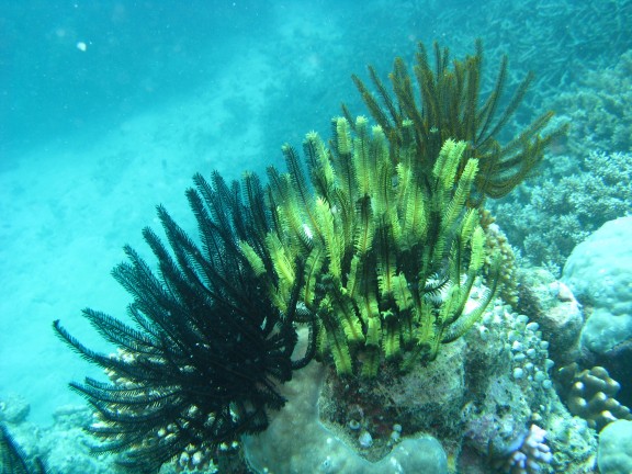 Queensland, Australia