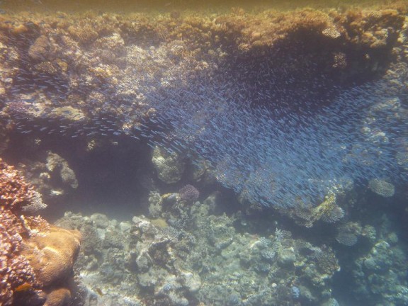 Dahab, Egypt
