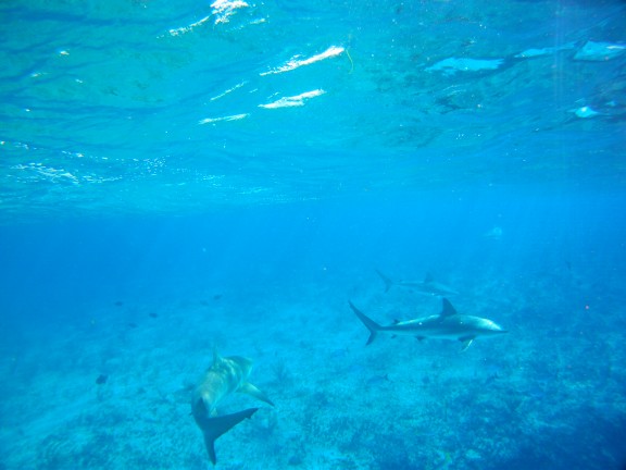 Alice Town, The Bahamas