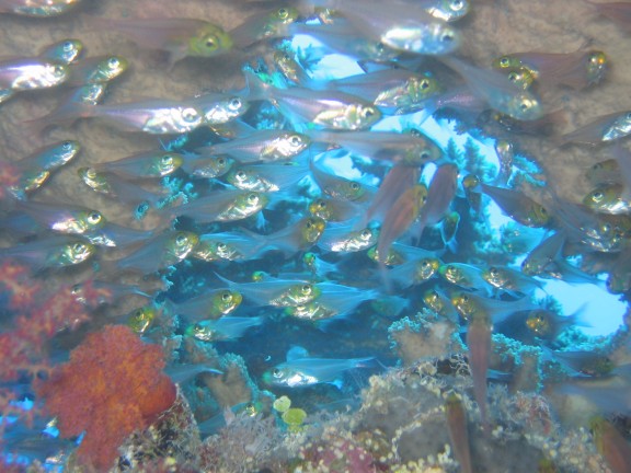 egitto sharm